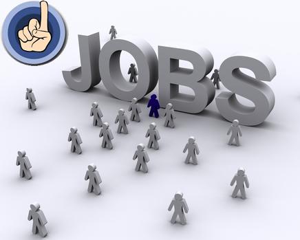job_search1.jpg
